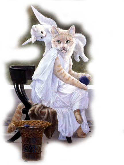 Catz 20